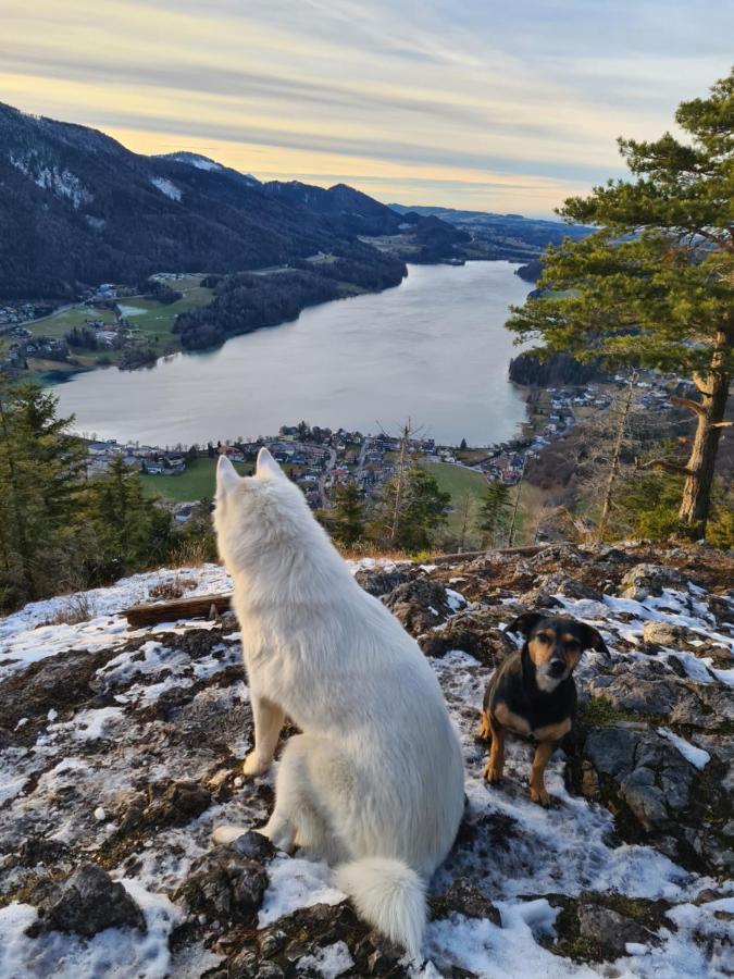Ferienhaus Gerlach Hintersee Buitenkant foto